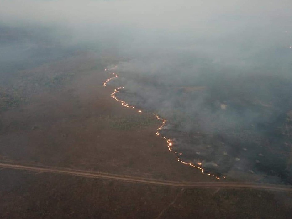 Brésil : la destruction de la forêt ienne proche du point de