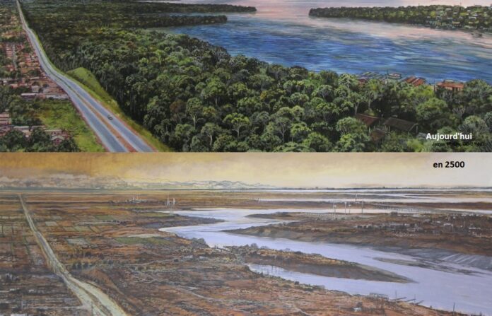 Amazonie - 2021 - projerction 2500