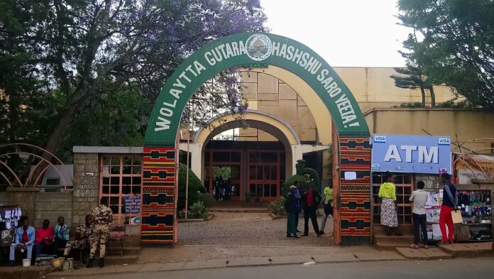 Éthiopie - centre culturel wolayta_gutara