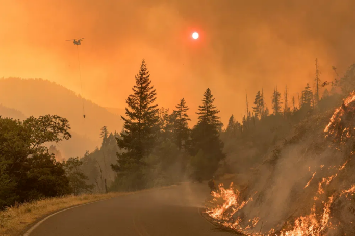 US Wildfire