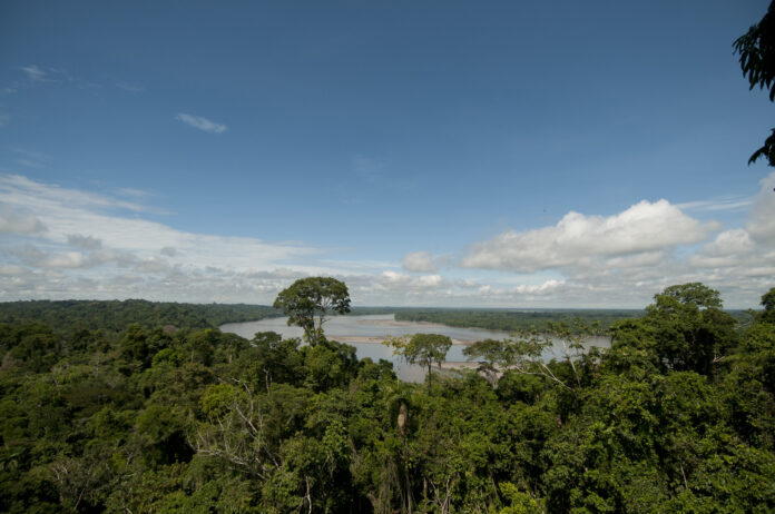 NapoRiver_YasuniNationalPark